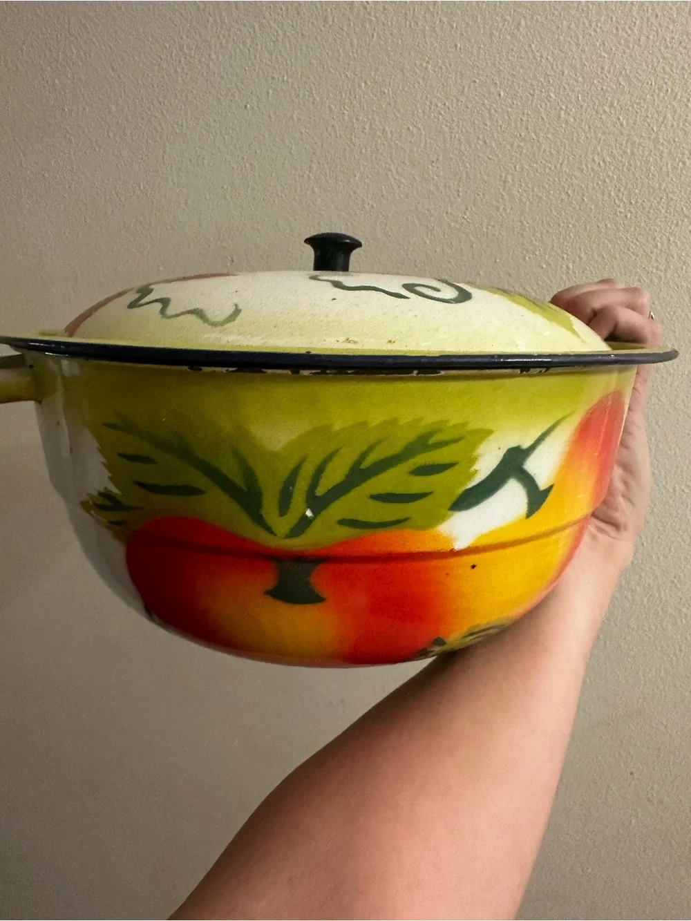 Hand-Painted Fruit Enamel Serving Bowl with Lid - Yellow & Red